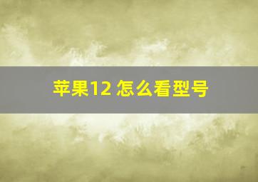 苹果12 怎么看型号